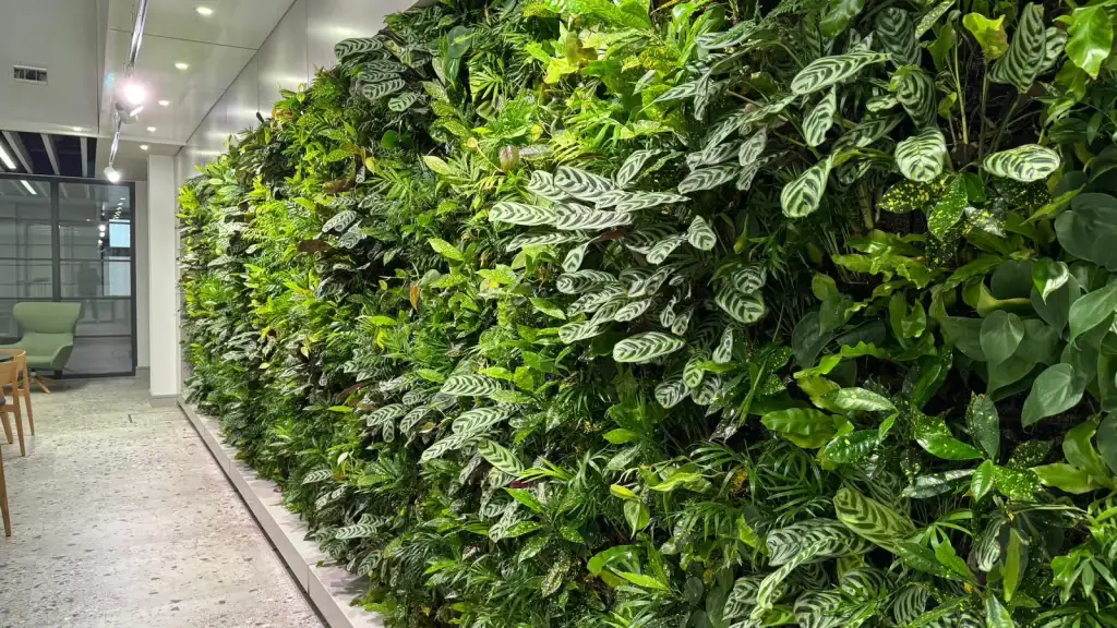 internal HYVERT living wall at 17 York Street