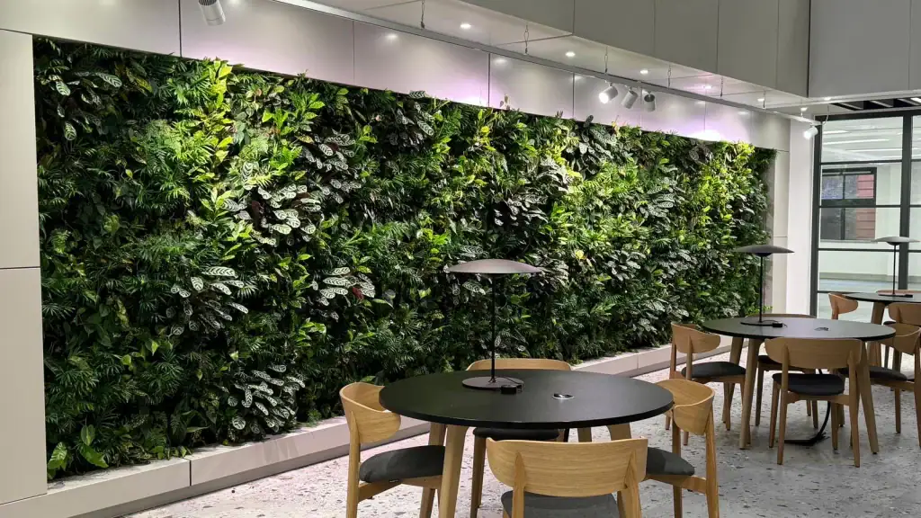 HYVERT living wall at 17 York Street