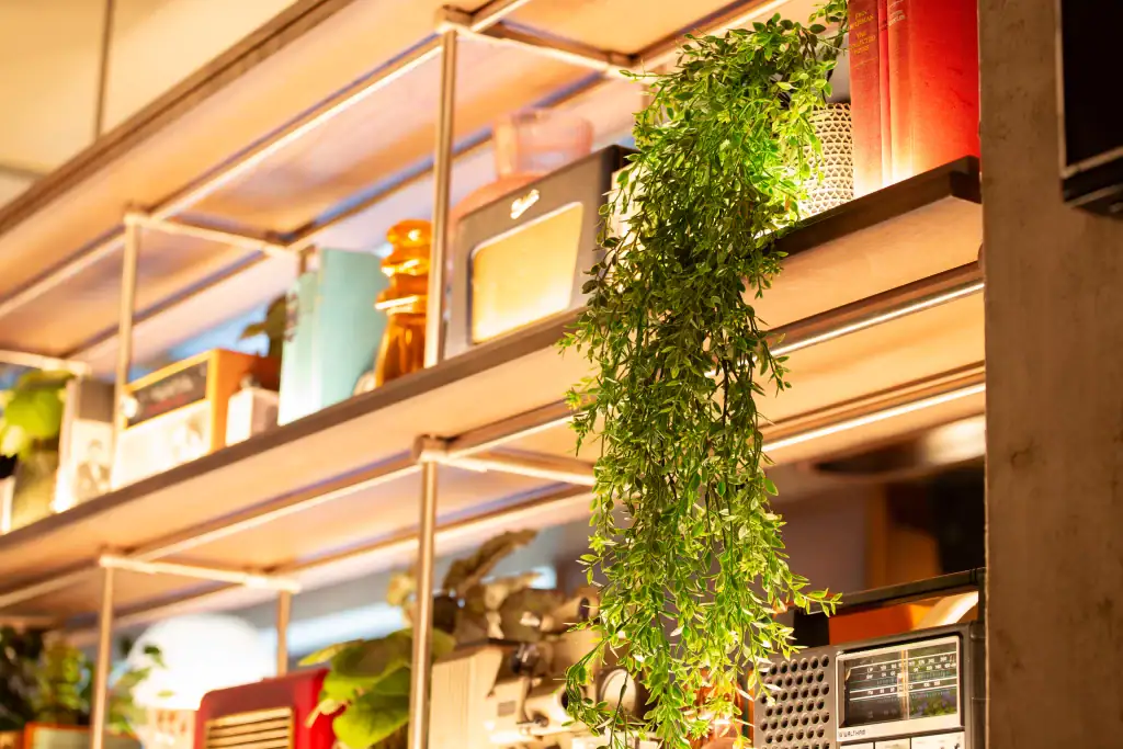 artificial trailing plant by i want plants