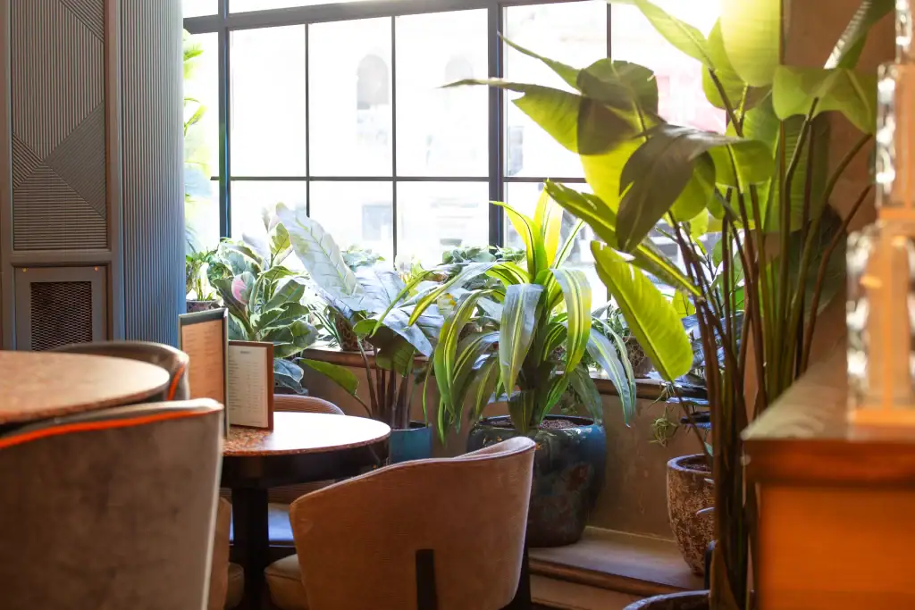 Artificial plant display by I Want Plants at Electric shuffle manchester