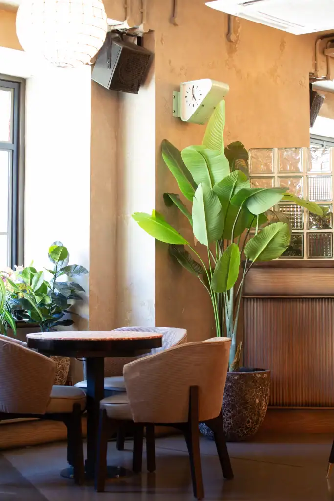 artificial strelitzia in pot by i want plants