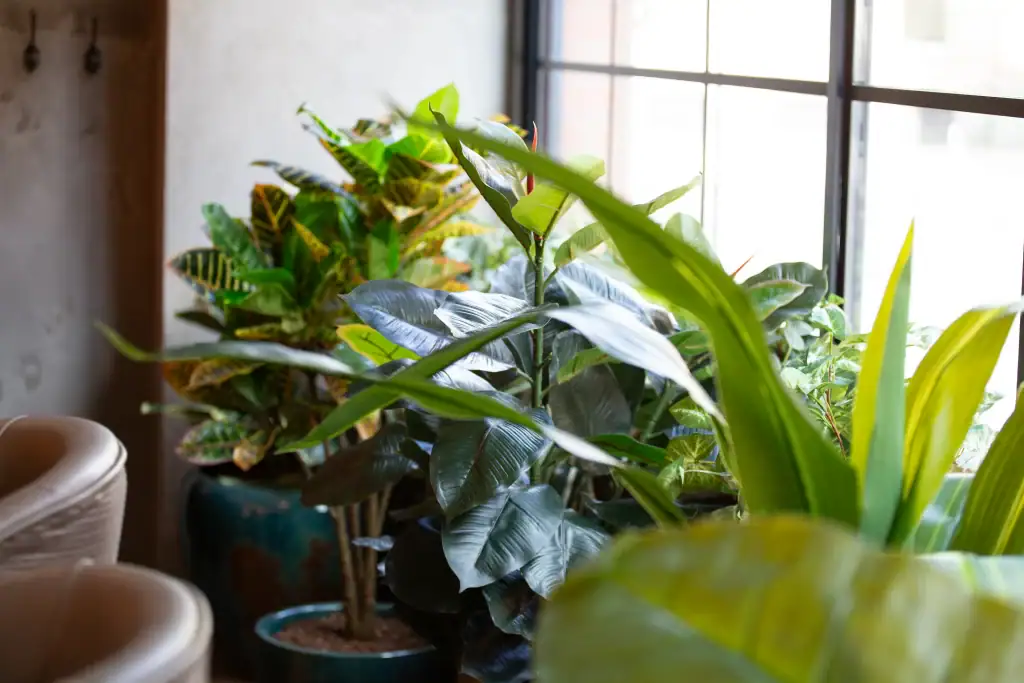Electric shuffle manchester artificial plant displays on window sill by i want plants