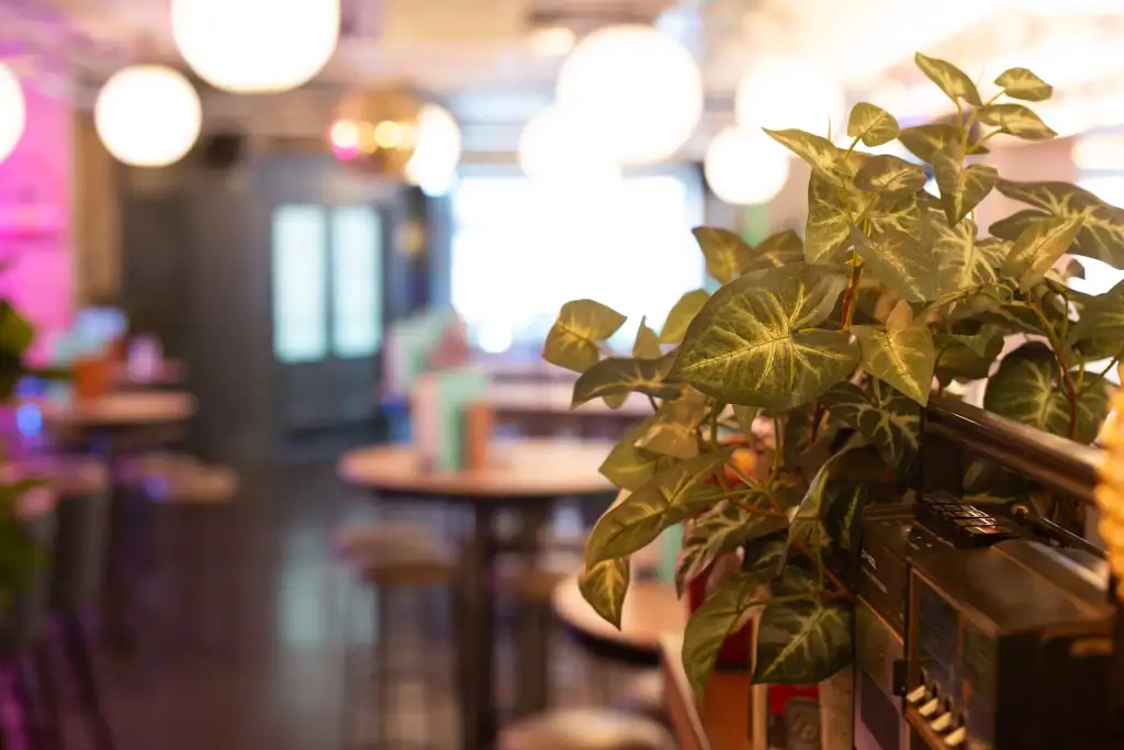 Artificial philodendron by I want plants