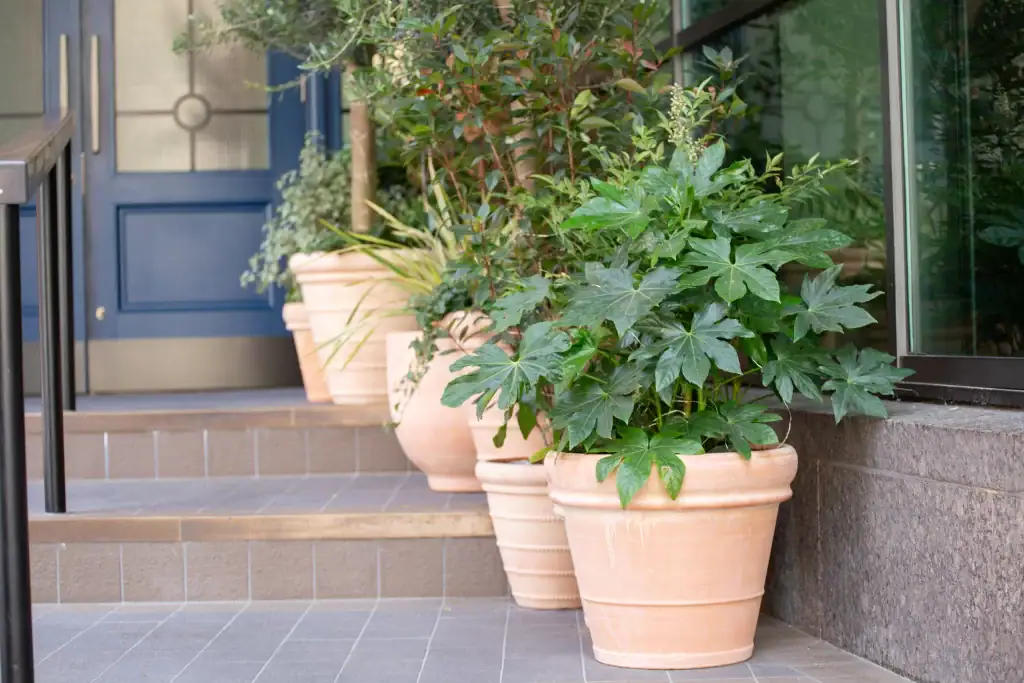 Cluster of live plants in terracotta pots by I Want Plants