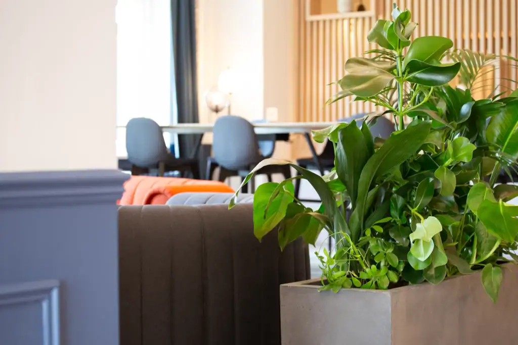 Mixed live plants in grey trough in workspace from i want plants
