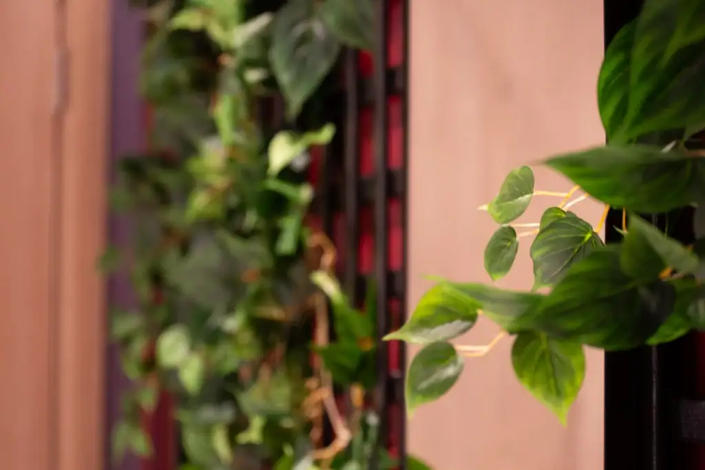 close up view of artificial vine on trellis