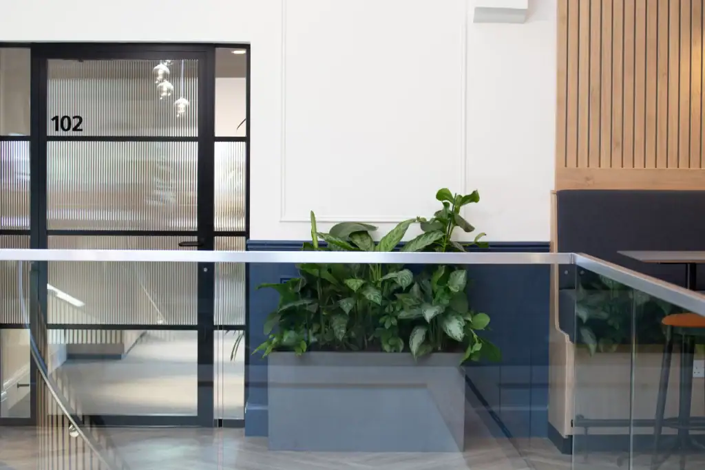 live plants in grey floor standing trough