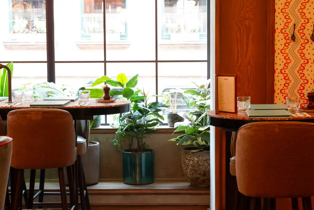 Artificial plants in pots at electric shuffle manchester