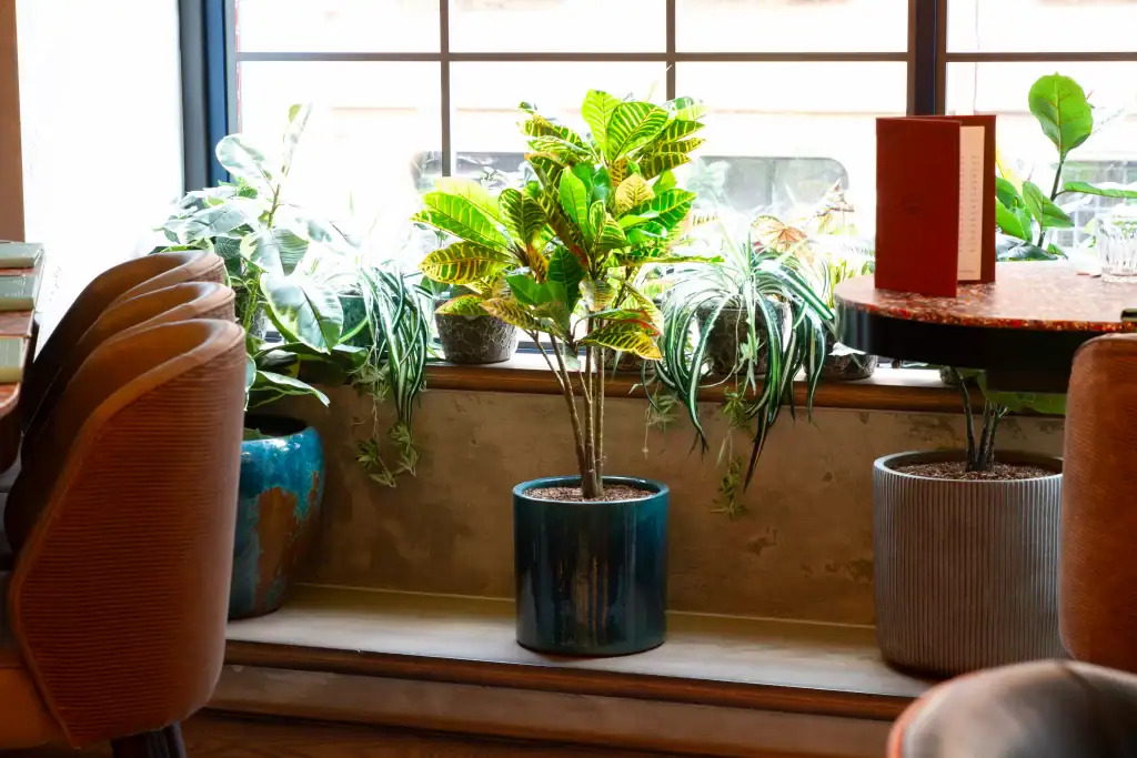 artificial plants in Hospitality by I want plants