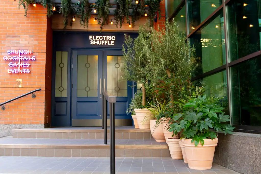 Terracotta pots and live plants outside electric shuffle manchester