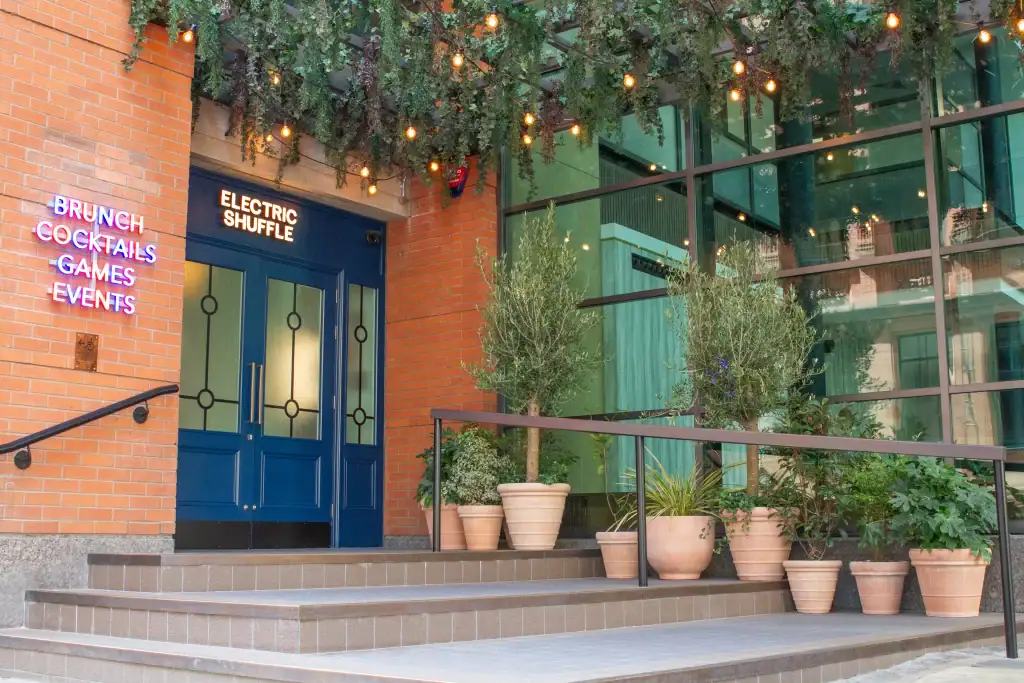 Terracotta pots planted with live plants including Fatsia Japonica and Olive trees outside electric shuffle manchester by i want plants