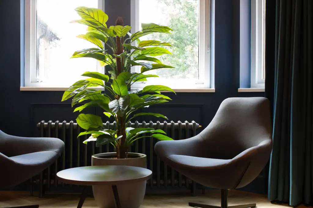 artificial plant in container from i want plants, positioned next to radiator at South @Cheadle Royal workspace