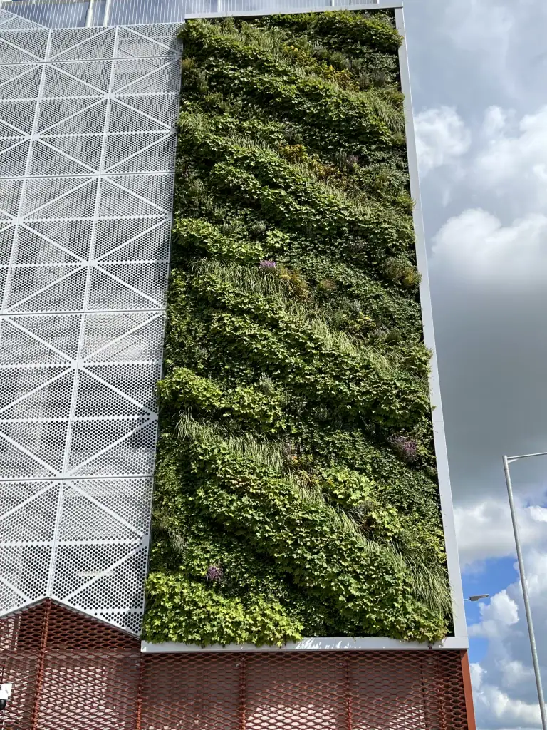 Established HYVERT living wall in Crewe