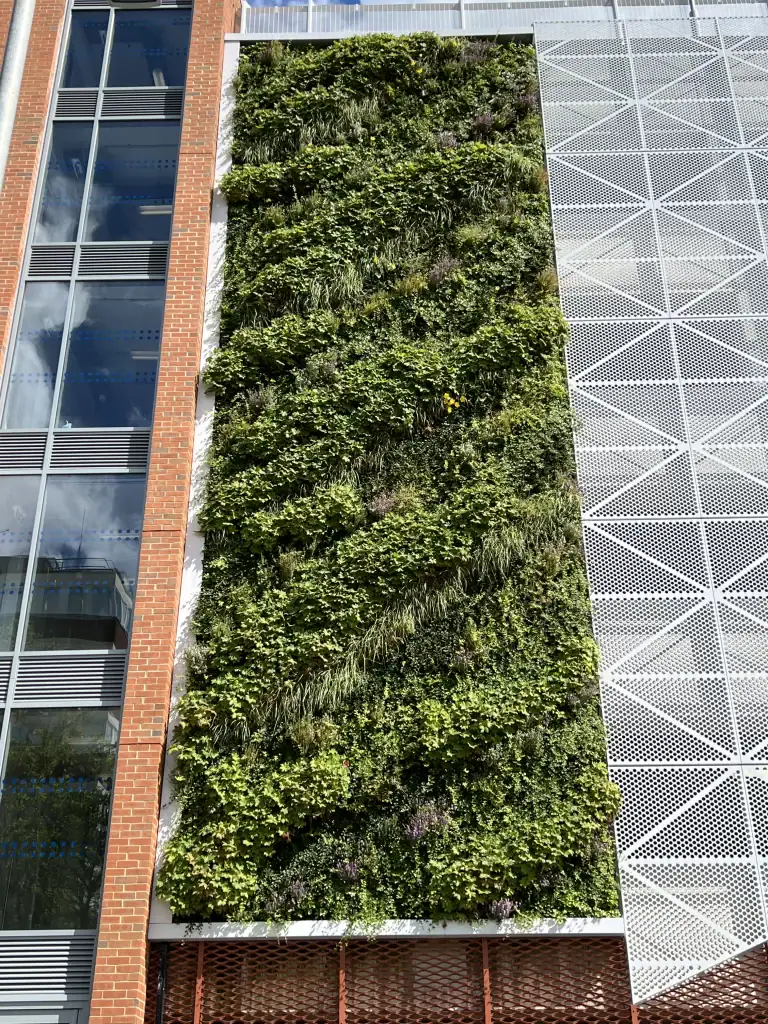 living wall at Crewe Carpark