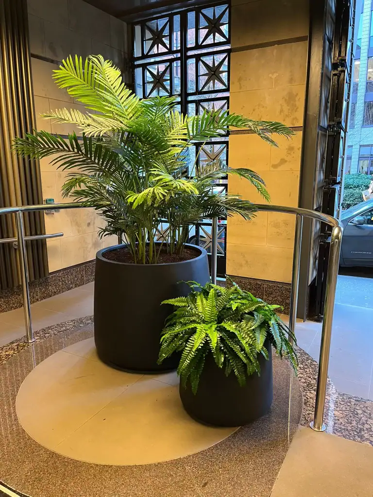 Artificial Palm and Fern plants matching containers in workspace entrance