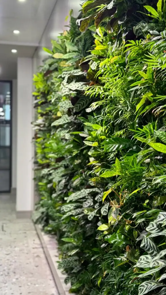 close up of HYVERT living wall at 17 York Street in Manchester