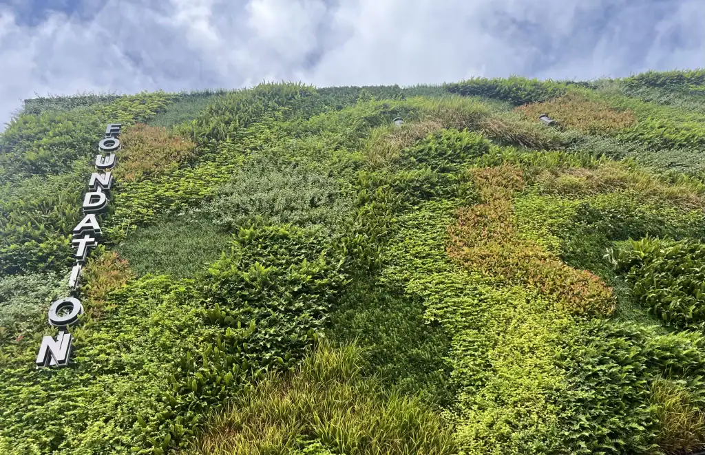 close up view of Foundation HYVERT living wall looking up