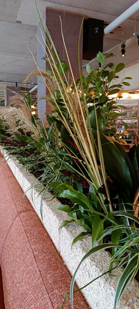 Replica pampas and grasses at Caravan Manchester