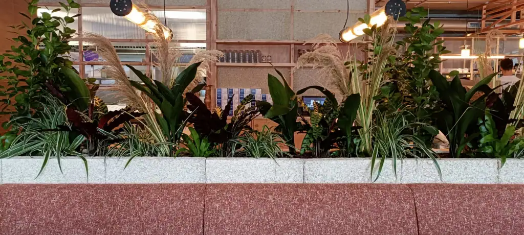 Caravan Manchester live plants in client's troughs