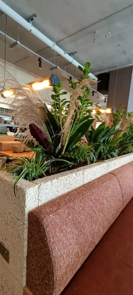 Caravan Manchester live plants in troughs with artificial pampass blended in