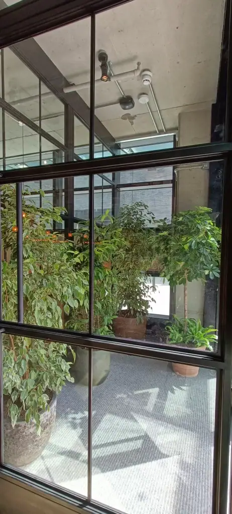 Live plants in contrasting containers in lobby at Caravan Manchester