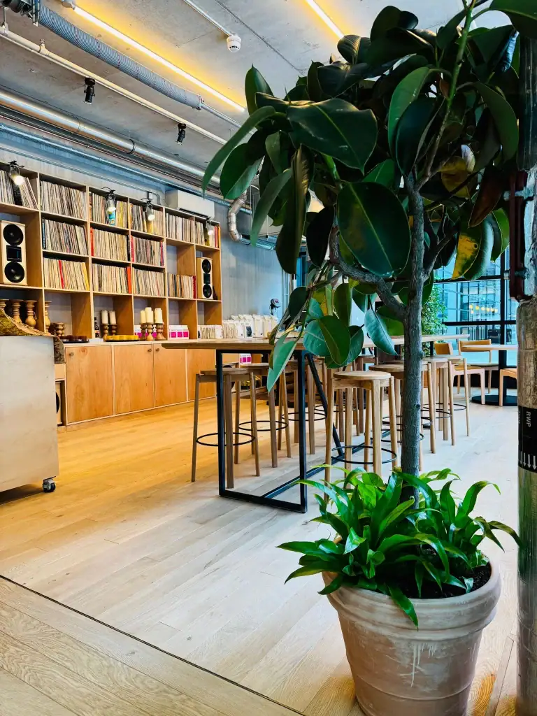 Live plants in pots at Caravan Restaurant installed by I Want Plants