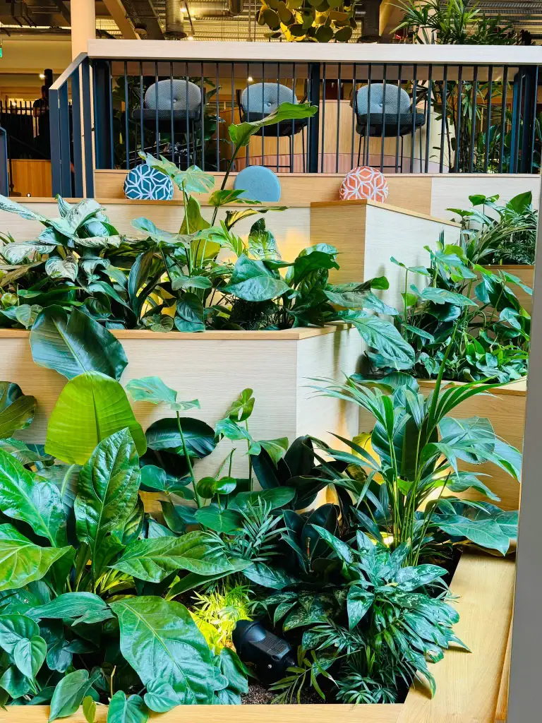 close up of live plants in built in troughs at Bruntwood scitech West Village
