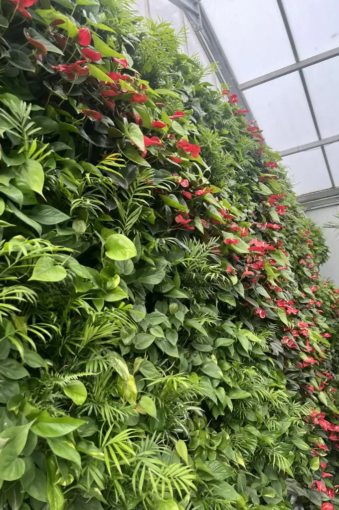 HYVERT living wall at I Want Plants Commercial Nursery