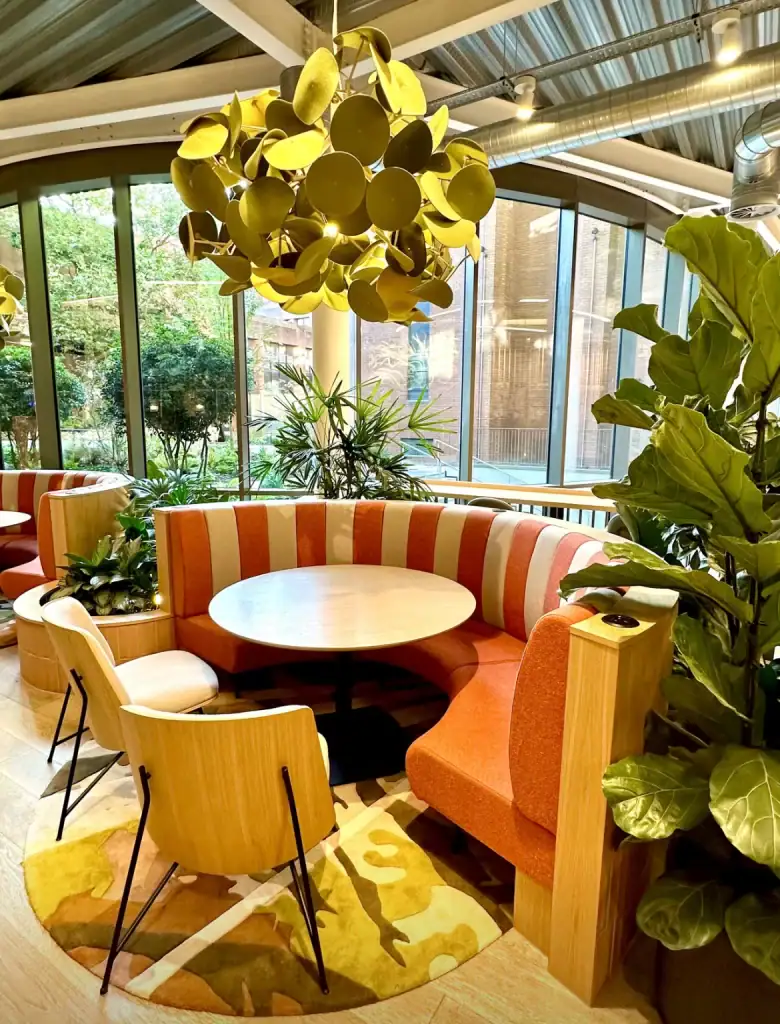 Bruntwood Sci Tech West Village interior ficus Lyrata plant installed by I Want Plants