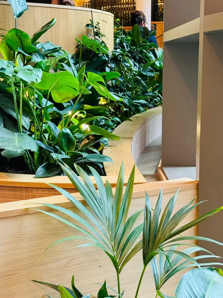 Live plant displays at West Village, Leeds by I want plants