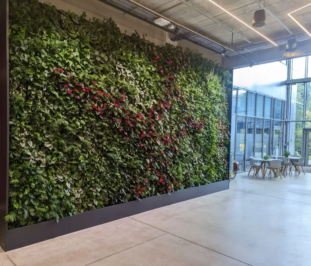 Internal HYVERT living wall at Bright Building