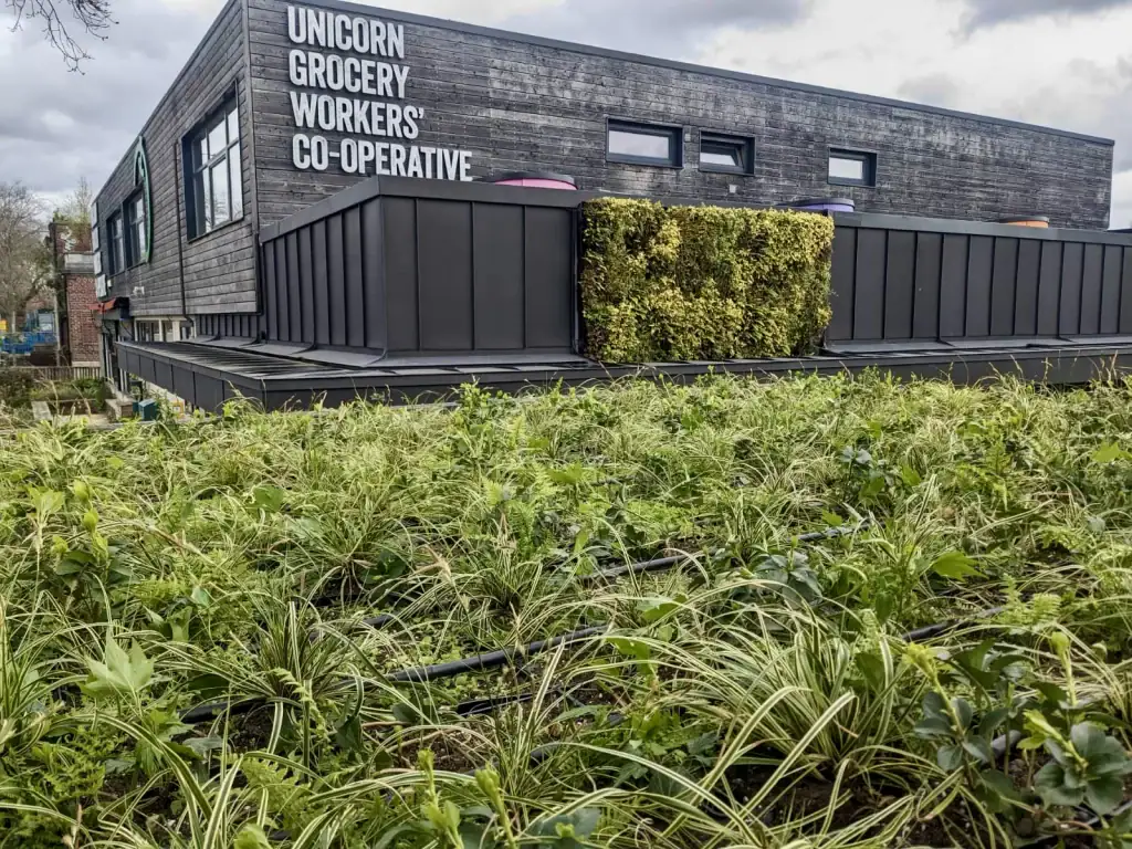 HYVERT surface and living wall at Unicorn Grocery