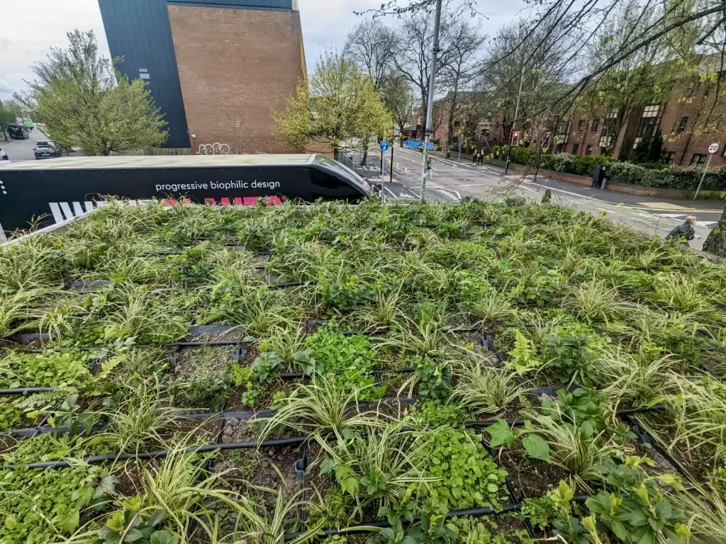 HYVERT Surface green roof