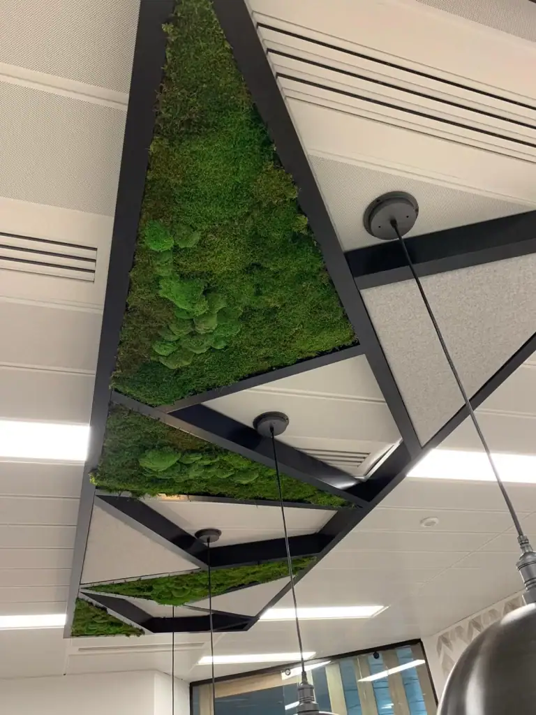 moss ceiling