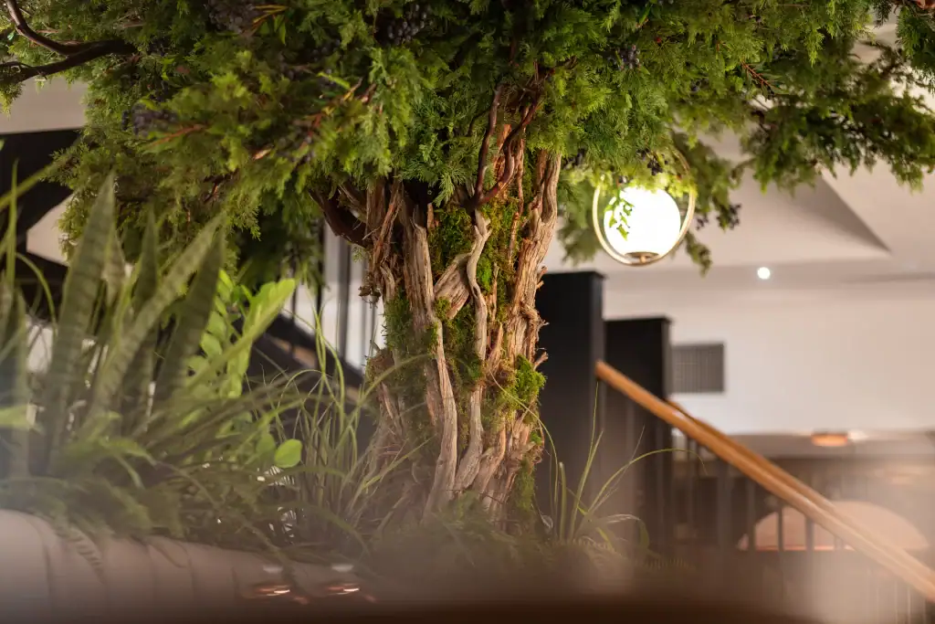 close up trunk of artificial Juniper tree created by i want plants