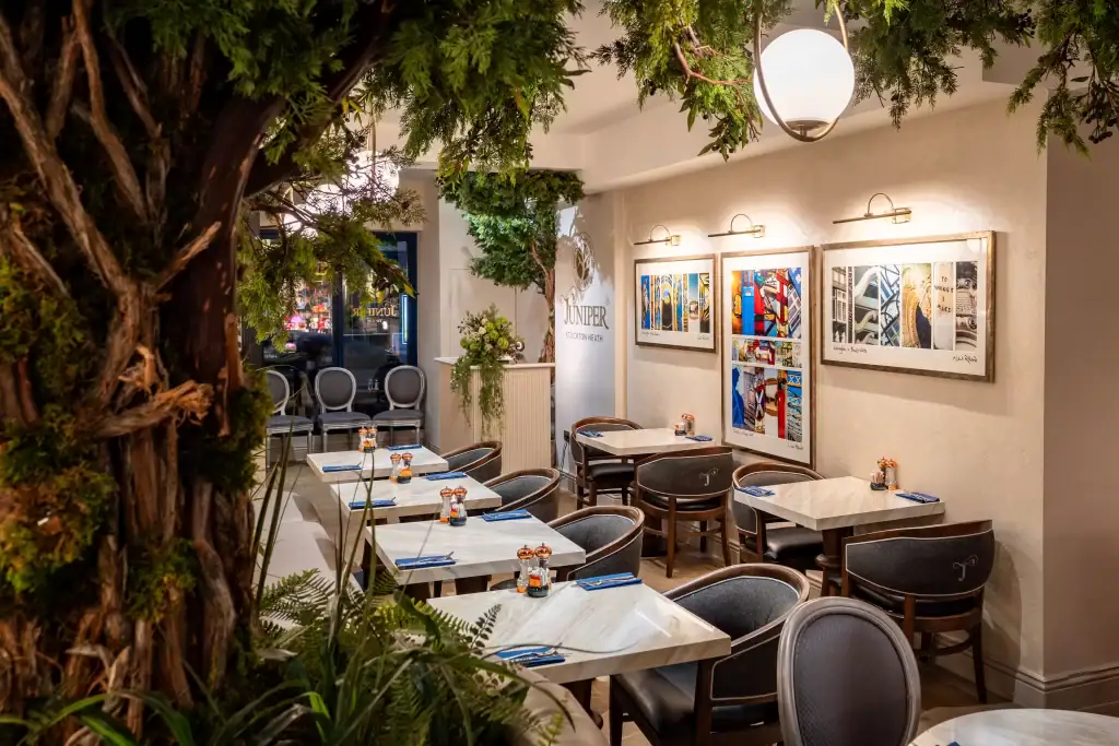 Juniper Stockton Heath biophilic interior by I Want Plants