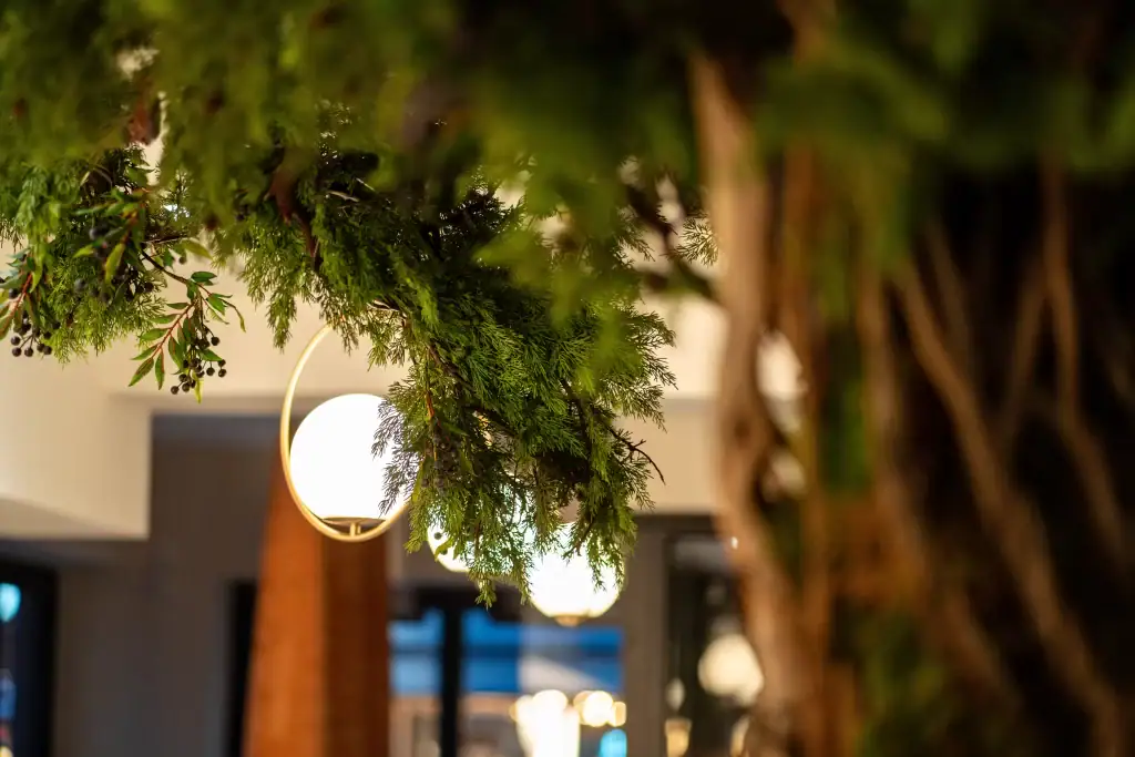 Artificial Juniper tree built by i want plants