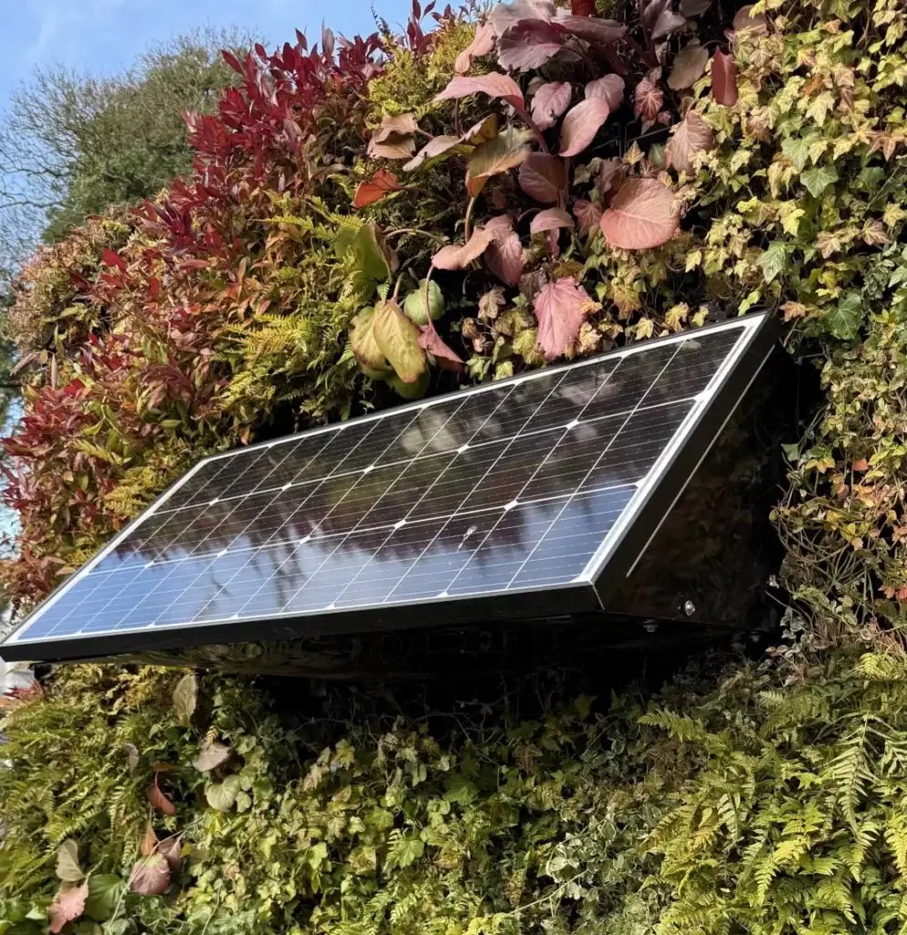 I Want Plants journey to net zero, solar panel on HYVERT living wall