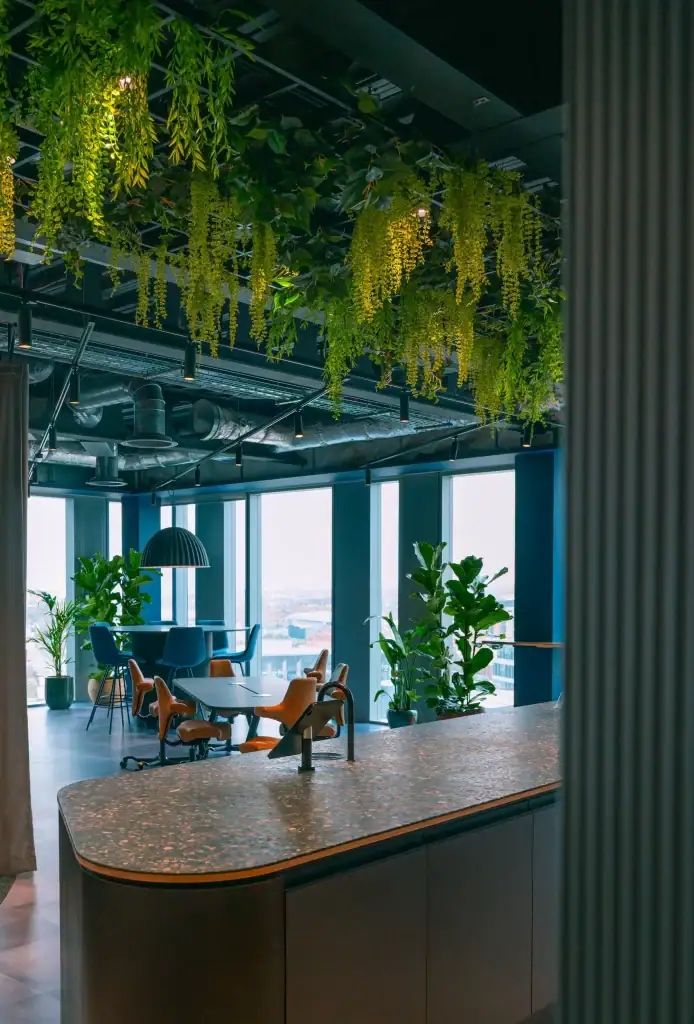 CBRE artificial and live plants