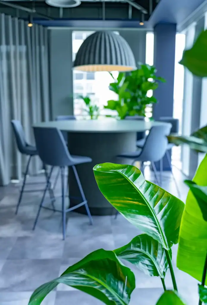 CBRE liverpool workspace with live plants