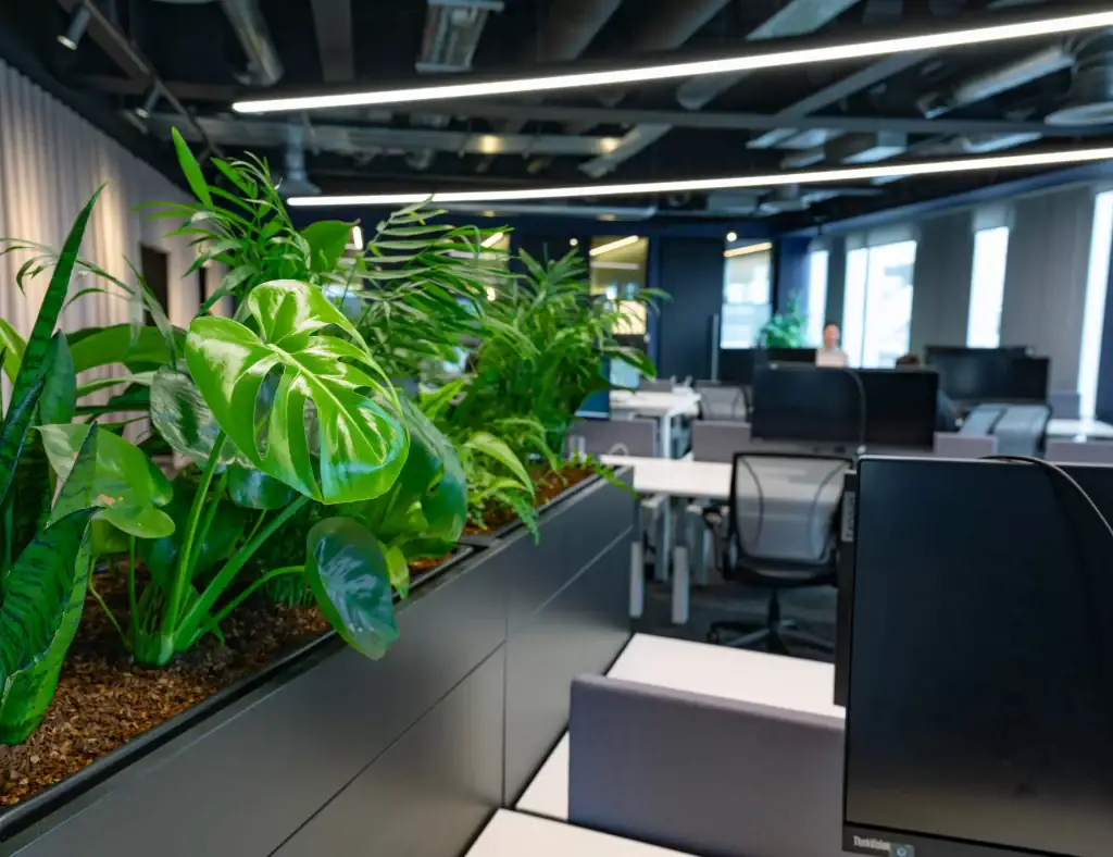 live plants at CBRE Liverpool in built in troughs