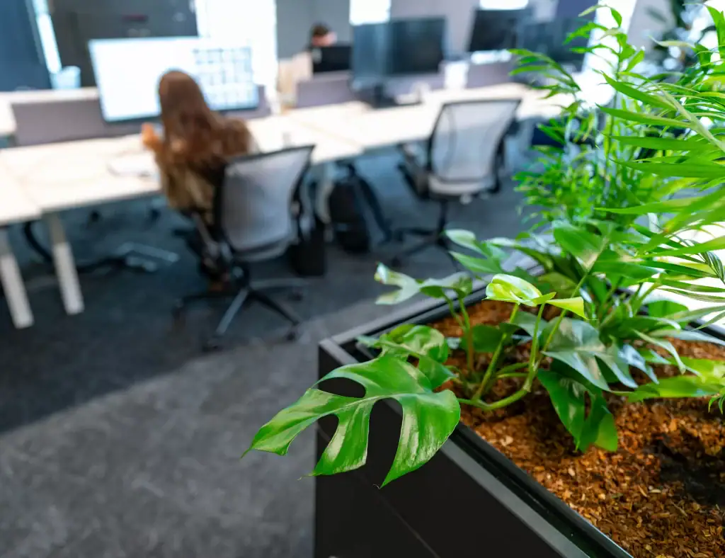workspace cupobards planted with live plants