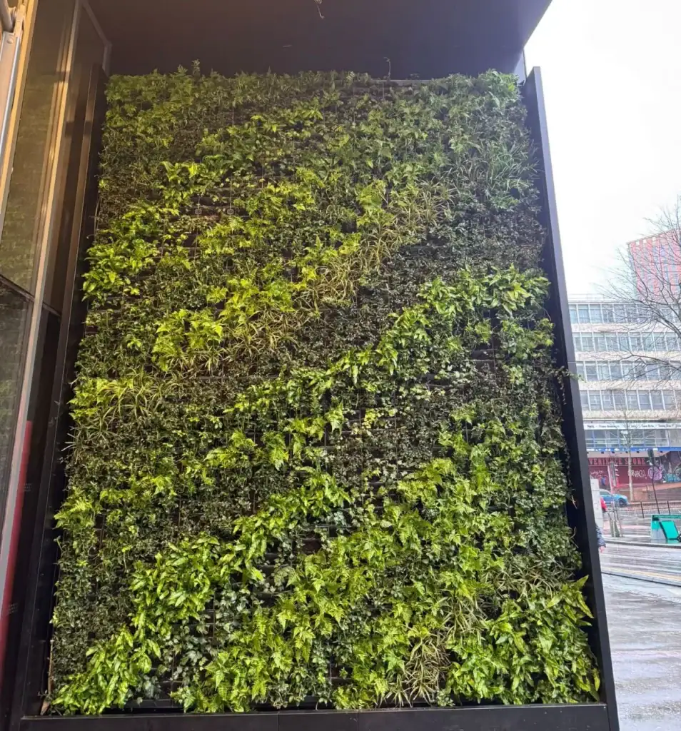 HYVERT living wall at Bruntwood SciTech Centre City