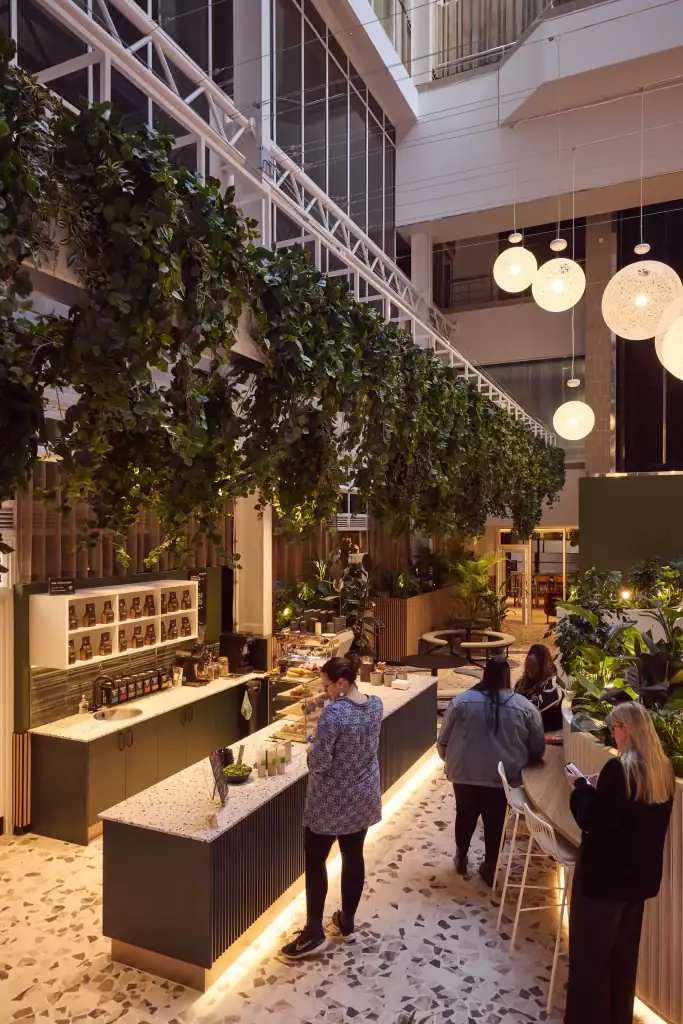 artificial hanging plants by i want plants at centre city