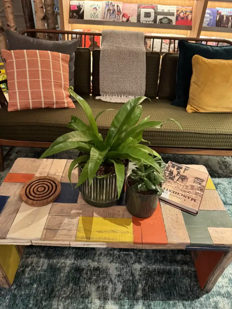 Table top live plants by i want plants at TreeHouse Hotel Manchester
