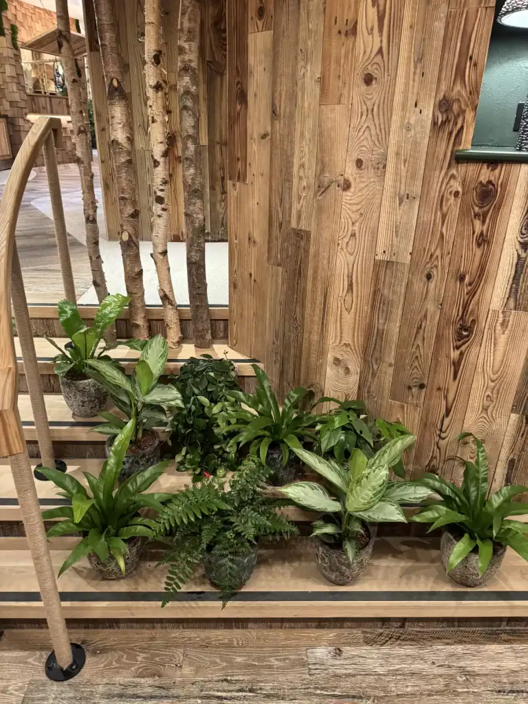 live planting display cluster at Treehouse Hotel Manchester by I want Plants