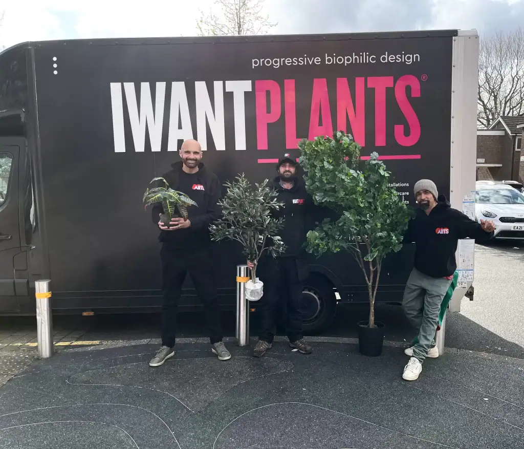Odd Arts plants donation