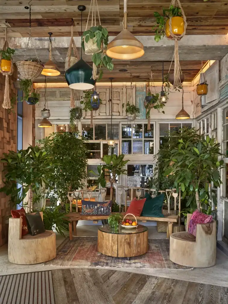 Treehouse Hotel Plants by I Want Plants