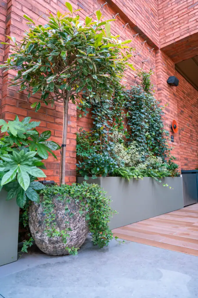 3 Circle Square Roof Terrace Plants by I want plants