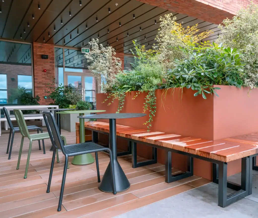 3 Circle Square Roof Terrace Plants by I want plants